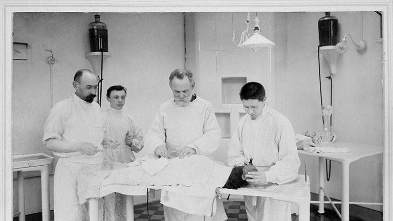 Mały Albert miał dokładnie 11 miesięcy, kiedy został poddany eksperymetom przez ojca behawioryzmu - Johna Watsona