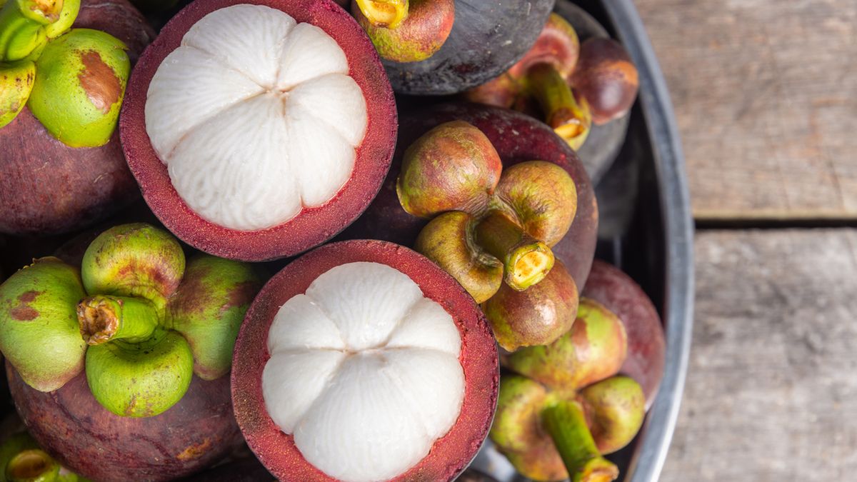 Mangostan właściwy to wiecznie zielone drzewo z jadalnymi owocami.