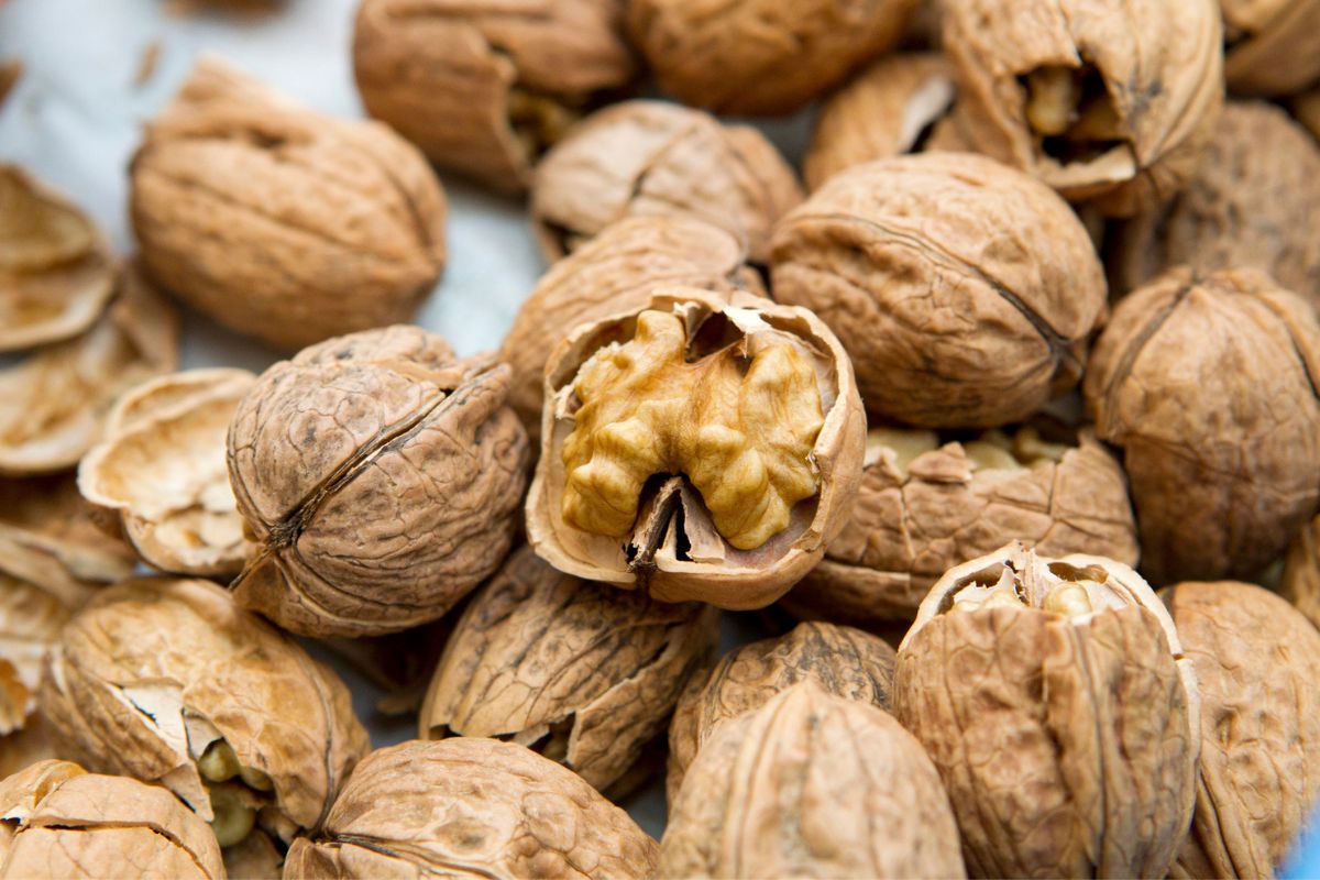Orzechy włoskie chronią przed miażdżycą. Badacze wskazują, jaka ilość może obniżyć poziom cholesterolu