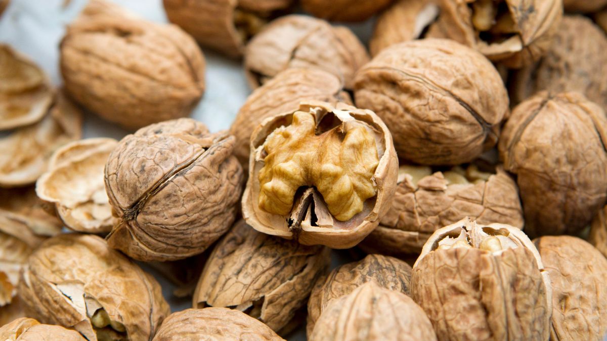 Orzechy włoskie chronią przed miażdżycą. Badacze wskazują, jaka ilość może obniżyć poziom cholesterolu