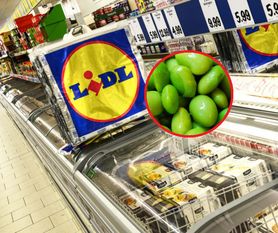 Koniec polowania. Sekret długowieczności Azjatów kupisz w Lidlu za 7 złotych