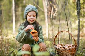 Czy dzieci mogą jeść grzyby? Specjaliści ostrzegają