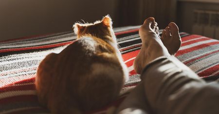 Uwielbiają spać w nogach. Koty nie robią tego bez powodu