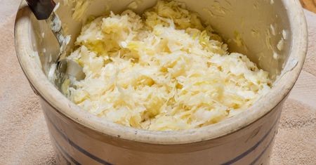 Dlaczego warto jeść kapustę kiszoną? Polski superfood (WIDEO)
