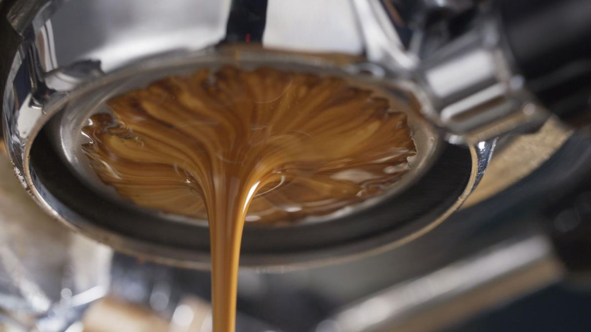 Kawa może wpłynąć na wydłużenie życia