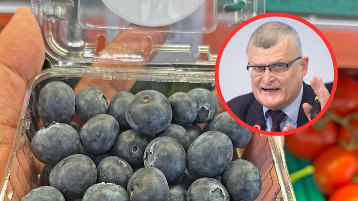 GIS wydał komunikat w sprawie polskich borówek. Nie były skażone WZW