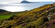 Bardsey Island - wyspa 20 tys. świętych