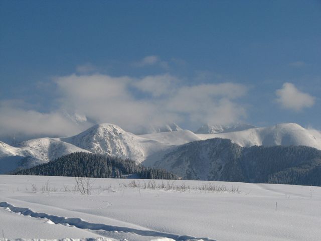 Obraz