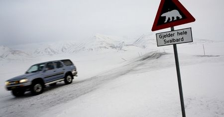 Spitsbergen - życie na końcu świata