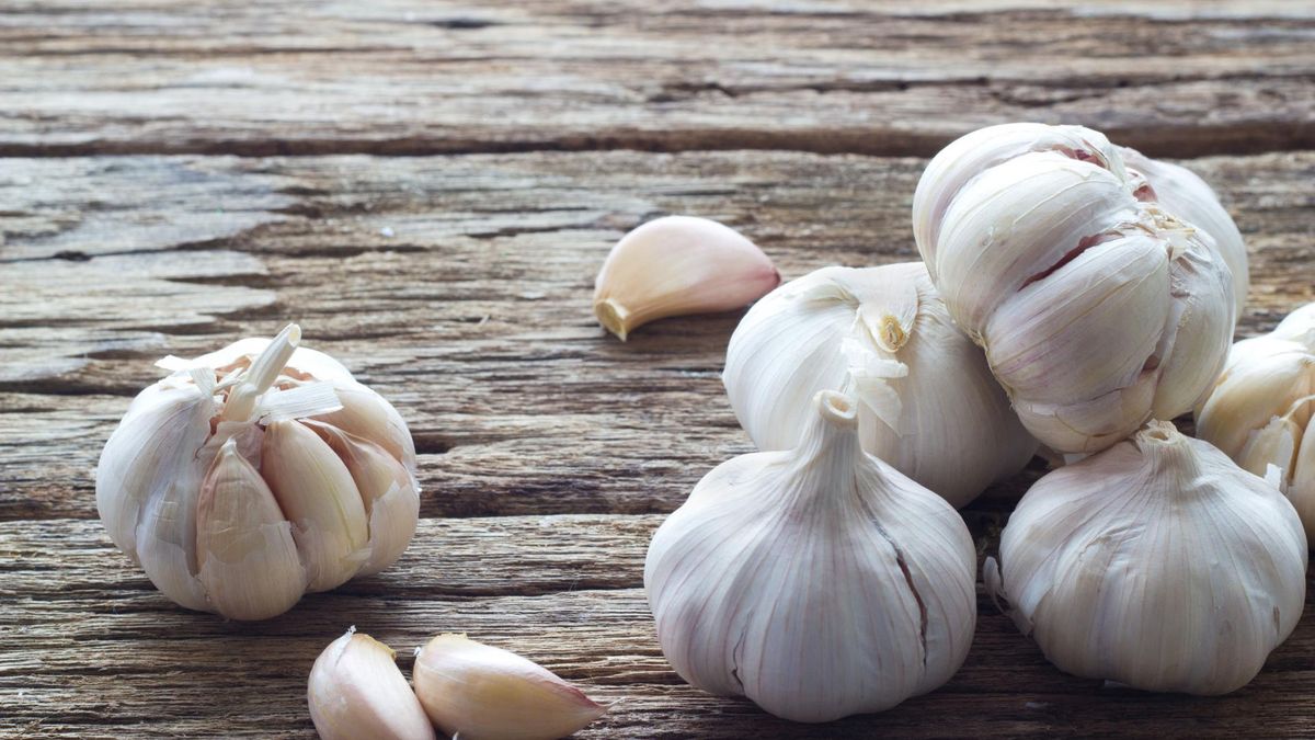 Naturalne antybiotyki. Top 10 domowych sposobów na walkę z chorobą