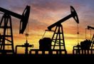Rekordowa zwyżka zapasów ropy w USA