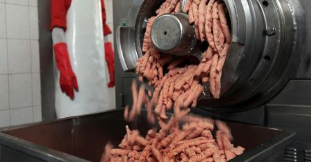 Mózg będzie przypominać gąbkę. Nie jedz tych mięs, jeśli chcesz uniknąć demencji
