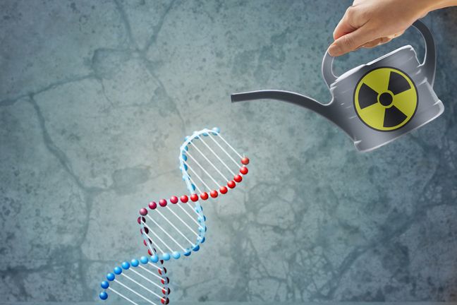 Toksyny mogą mieć negatywny wpływ na płodność