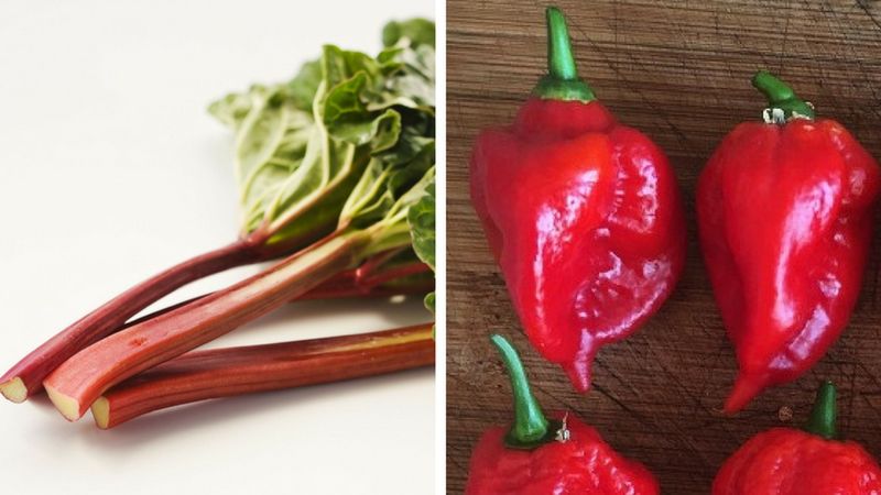 Spożywanie niektórych potraw, niesie ze sobą ryzyko utraty życia lub uszczerbku na zdrowiu