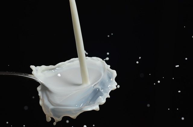 Probiotyki znajdują się w produktach mlecznych