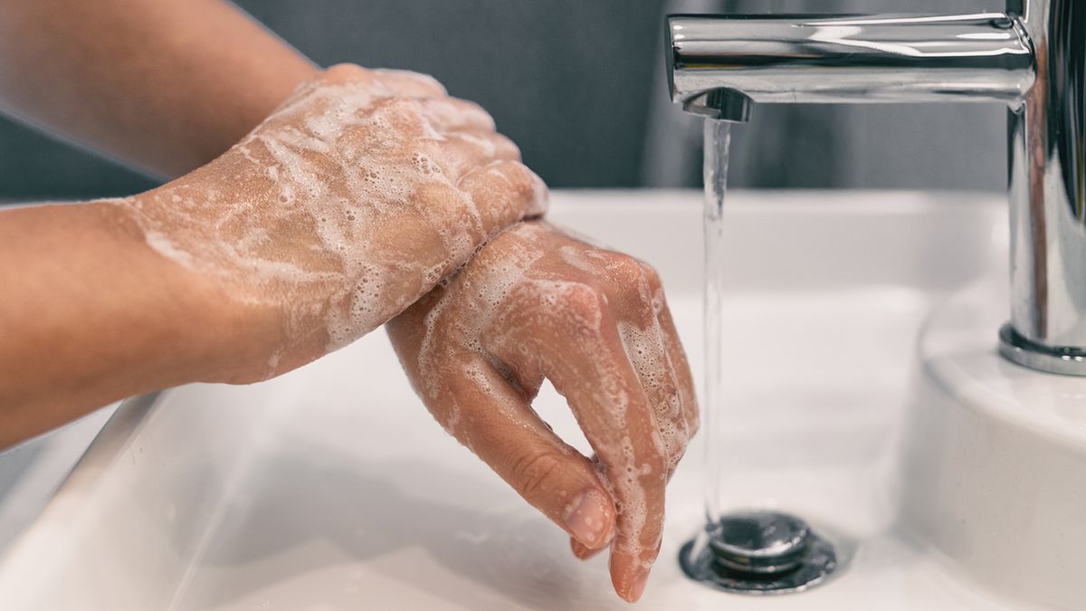Bakteria coli to chorobotwórczy mikrob, który powoduje silne zatrucia i infekcje, a nawet zagraża życiu człowieka.