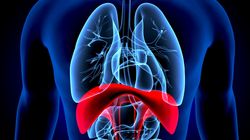 Przepona - czym jest, przepuklina, oddychanie