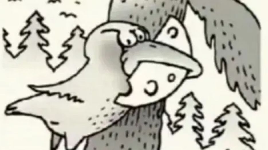 Masz tylko 20 sekund. Większość osób widzi tylko jedno zwierzę