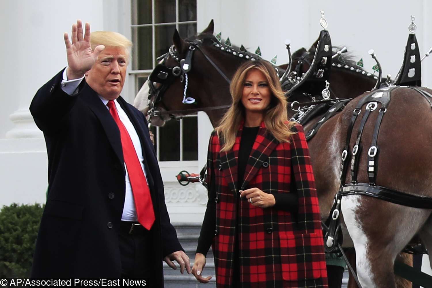Melania Trump i Donald Trump witają choinkę w Białym Domu