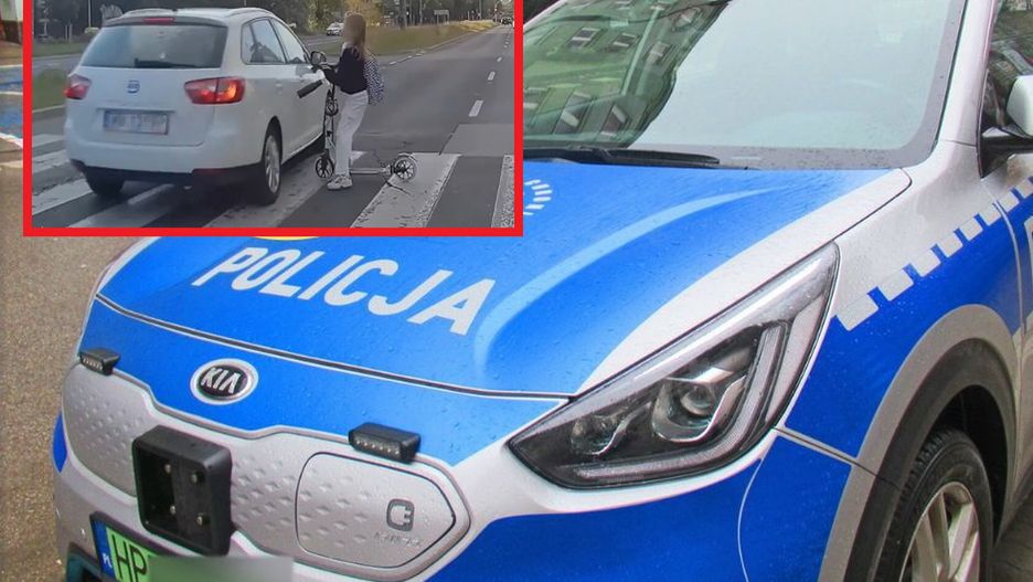 Chwile grozy na psach. "To powinno być potraktowane jako próba morderstwa"