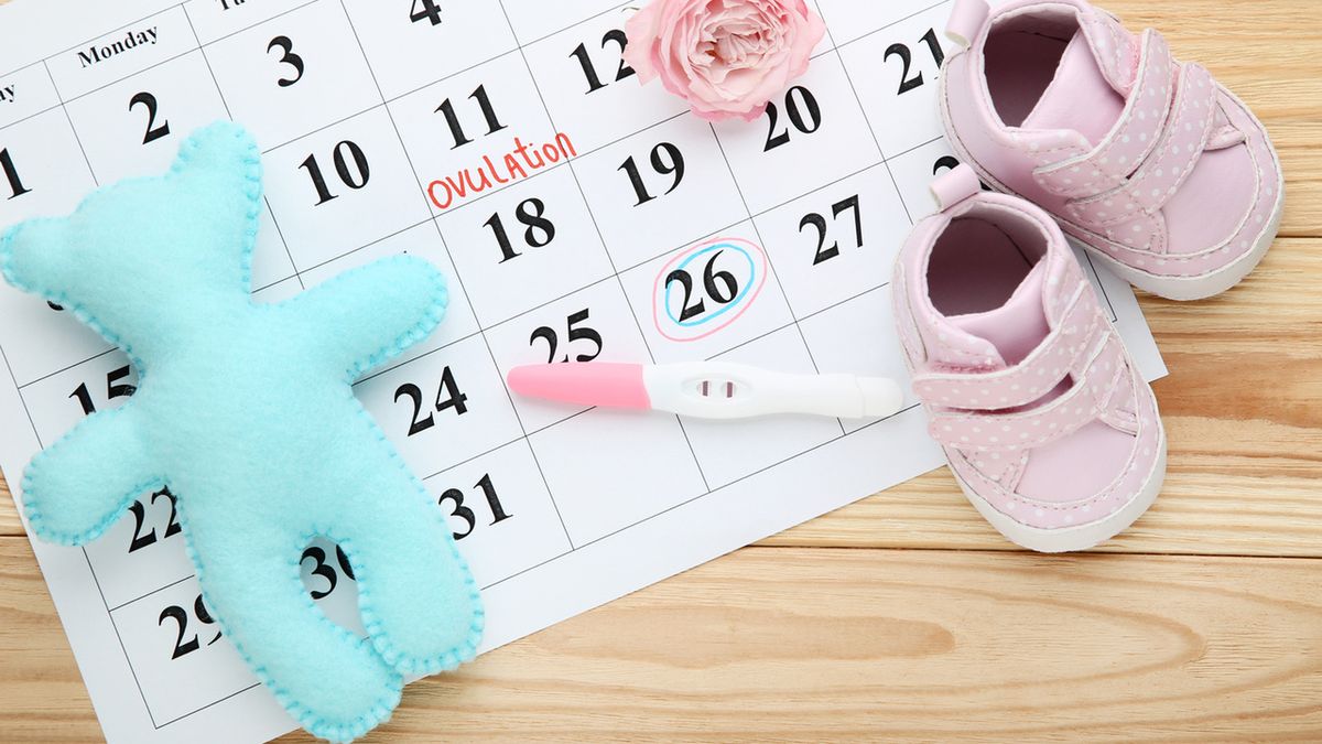 Monitorowanie owulacji polega na kilkukrotnym wykonywaniu USG w czasie cyklu menstruacyjnego.