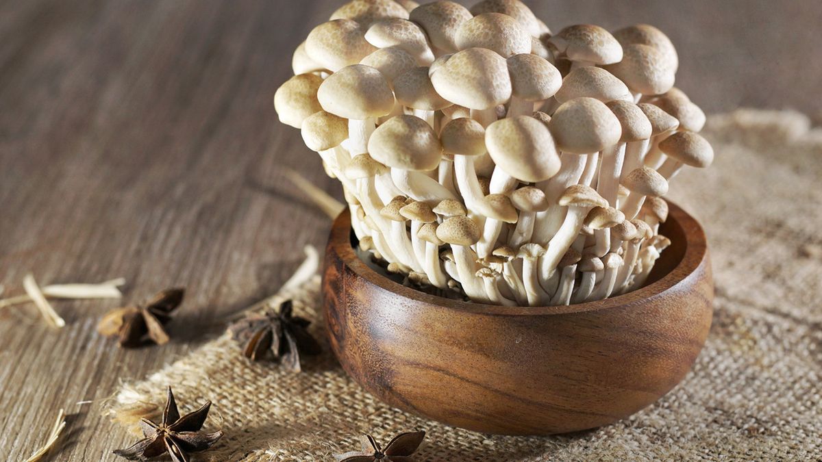 Grzyby shimeji to grzyby jadalne, pochodzące z Azji Wschodniej.