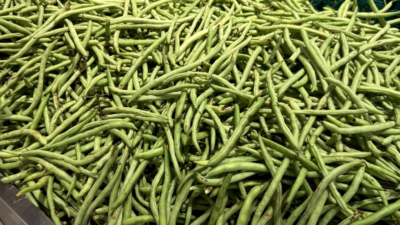 To warzywo zapewnia objętość prawie bez kalorii. Organizm bardzo je lubi