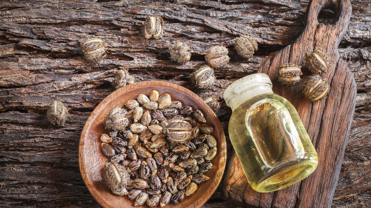 Rycyna jest białkiem o silnych właściwościach toksycznych występującym w rączniku pospolitym.