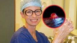 Mówi się, że karmi raka. Onkolog obala powszechny mit