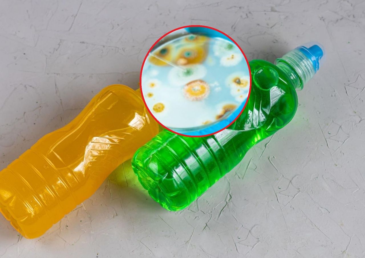 Wody smakowe i napoje izotoniczne mogą być skażone bakteriami kwasu octowego