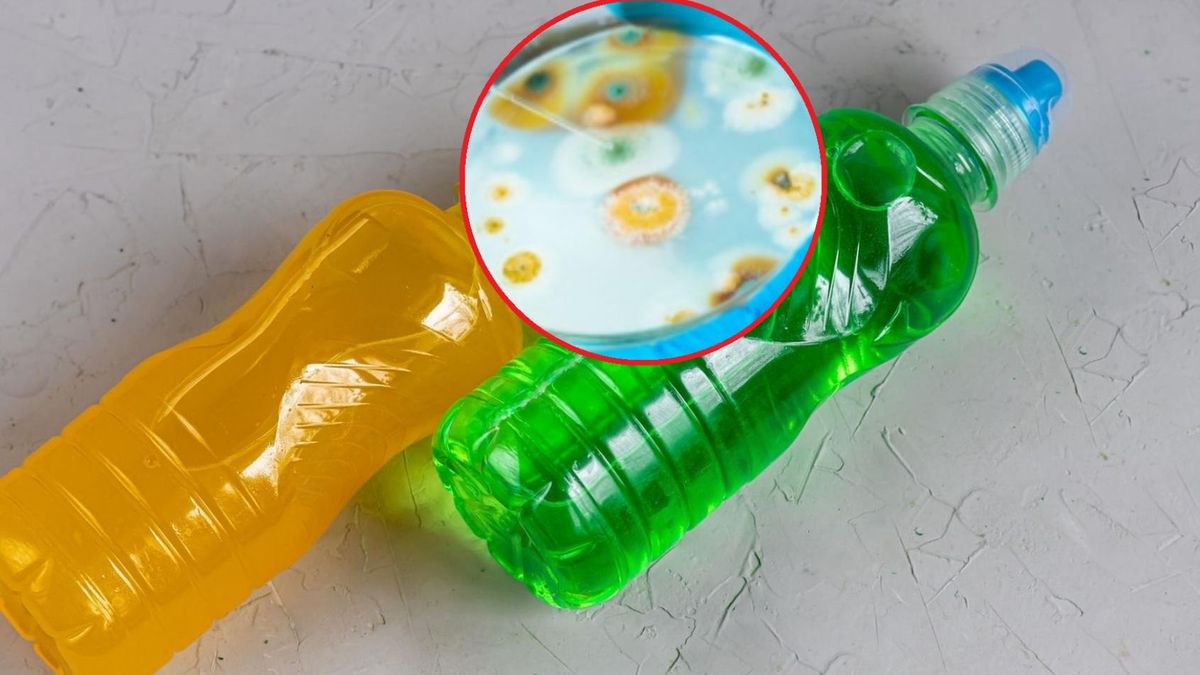 Wody smakowe i napoje izotoniczne mogą być skażone bakteriami kwasu octowego