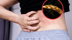 Najlepsze źródła potasu w diecie. Co jeść, by uniknąć niedoborów?