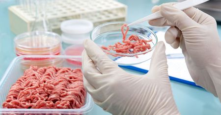 Antybiotyki i hormony w żywności. Czy to nam grozi?
