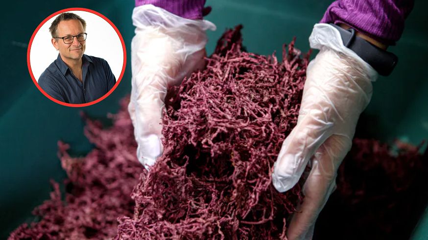 Buraki to bogactwo zdrowia. Ekspert zaleca na stałe włączyć do diety