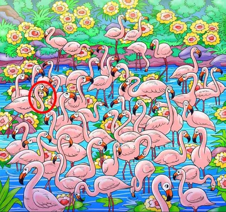 Rozwiązanie zagadki