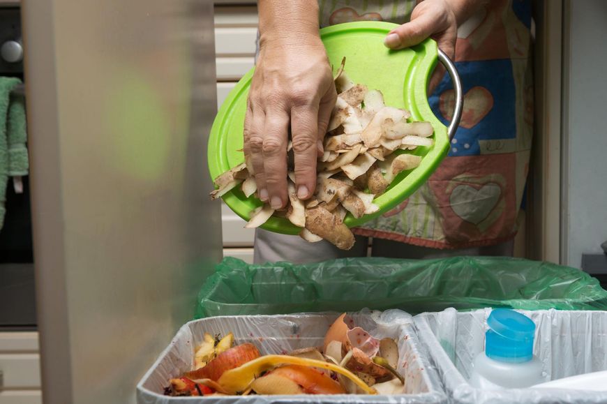 Nieregularne wyrzucanie śmieci sprawia, że muszki owocówki przenoszą groźne dla naszego zdrowia bakterie i wirusy