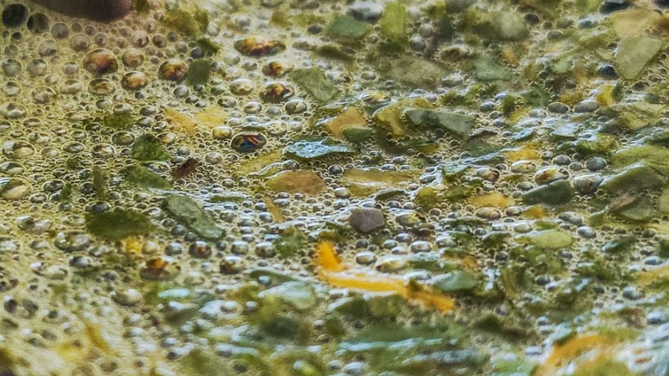 Zaleca się picie yerba mate około 30 minut po posiłkach bogatych w tłuszcze