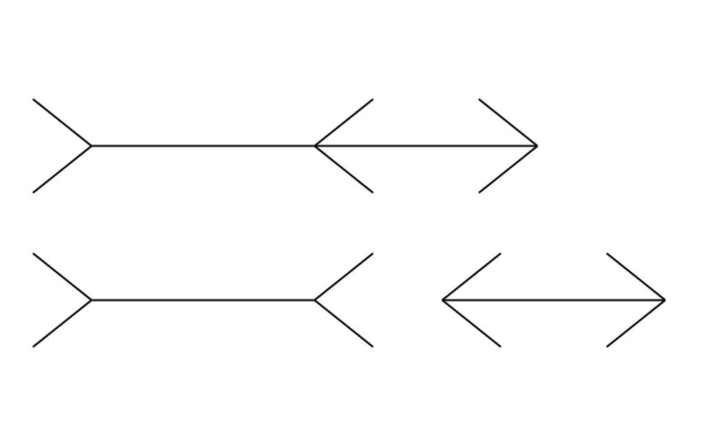 Która z linii jest dłuższa?