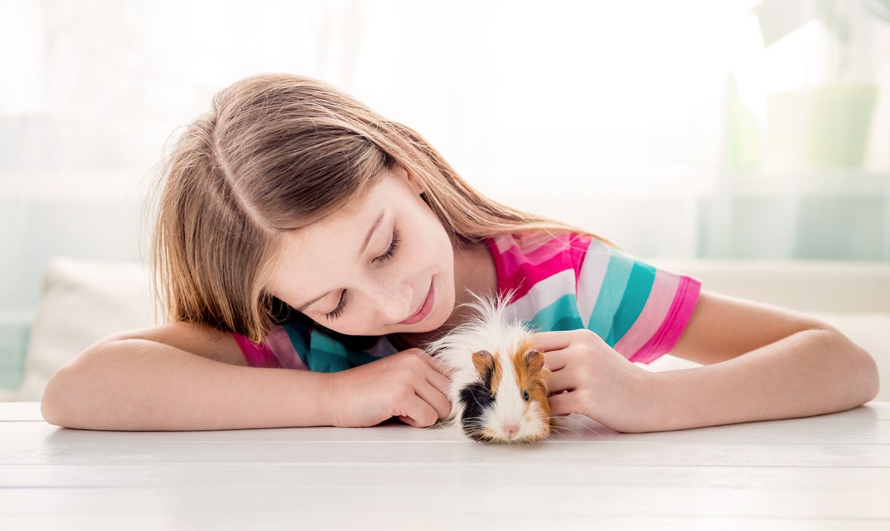 Małe zwierzęta domowe. Kupuj z głową!