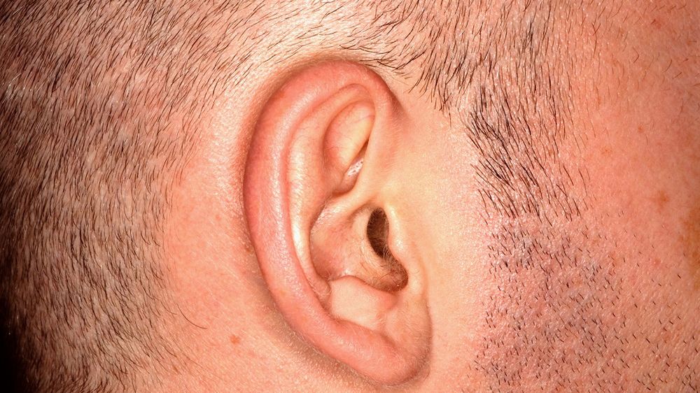 O czym świadczy znak Franka?