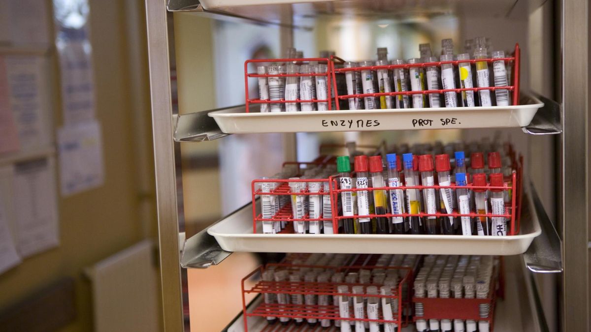 Jak grupa krwi wpływa na zdrowie?