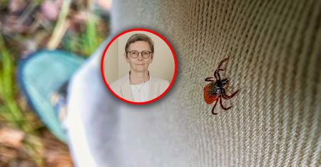 Prawdziwy wysyp kleszczy. "Ich ilość zmienia się w zależności od pogody"