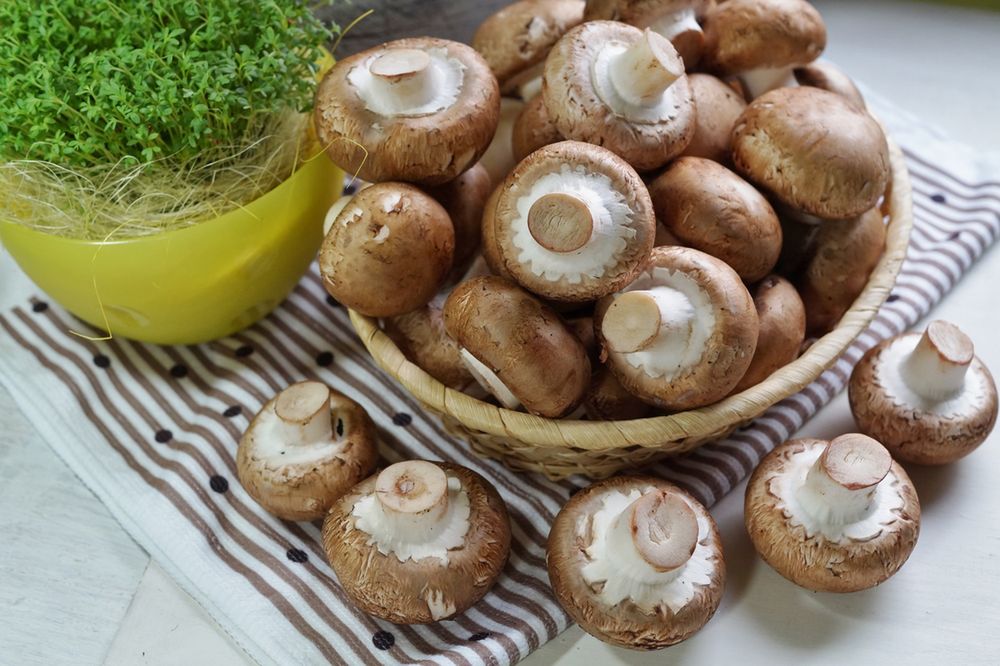 Pieczarki są źródłem wielu składników odżywczych