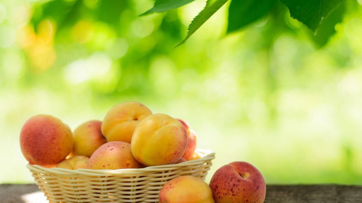 Dlaczego warto jeść brzoskwinie?