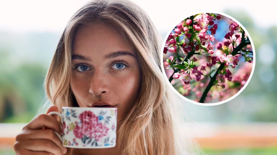 Jak przygotować napar z kwiatów jabłoni?