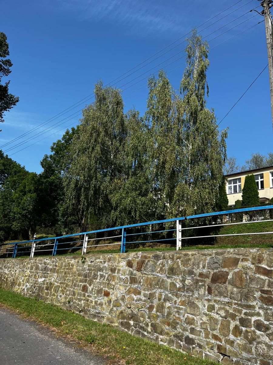 Droga główna znajduje się poniżej niebieskich barierek, powyżej których stoi dom dziecka w Krasnym Polu