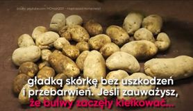 Czego nie wiesz o ziemniakach (WIDEO)