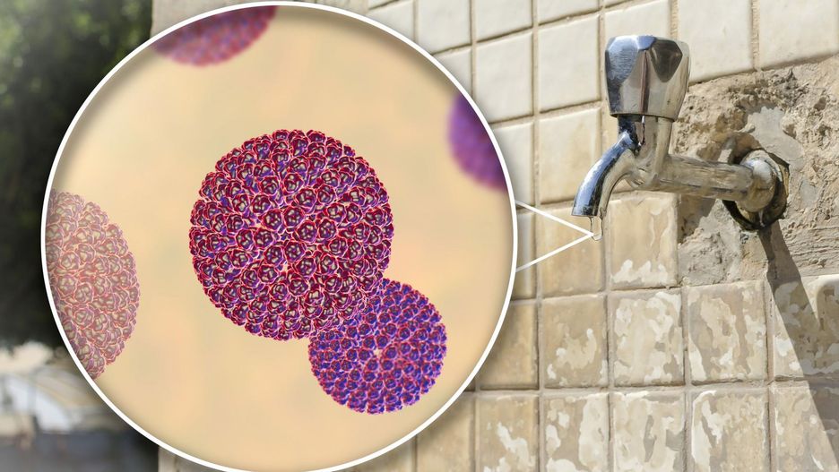 Jak pozbyć się alergenów z domu?