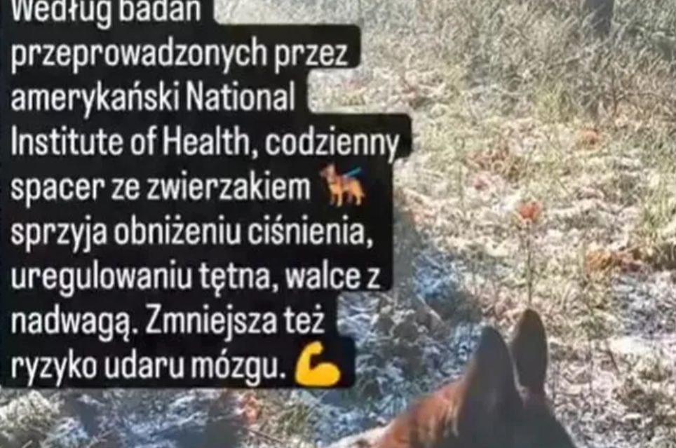 Kurzajewski o korzyściach płynących ze spacerów