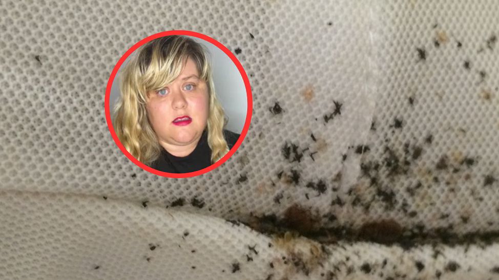 Pluskwy wydzielają specyficzny zapach